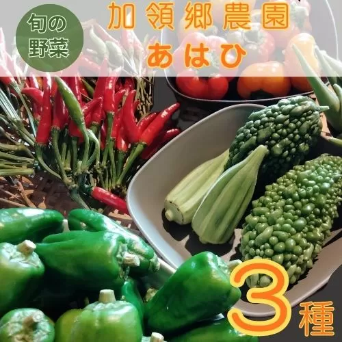 130001　露地栽培にこだわった季節の野菜ボックス  お野菜 季節 野菜 旬 新鮮 産地直送 露地 詰め合わせ やさい おいしい 自然 セット  おまかせ 詰合せ 旬の野菜 お試し 3種類 少量