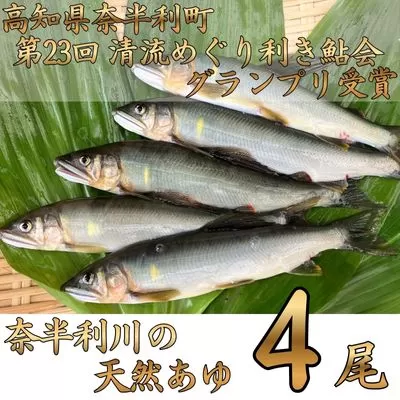 107001 奈半利川の友釣り天然アユ（冷凍） ４尾 利き鮎グランプリ受賞 釣り 鮎 あゆ 奈半利川 アウトドア 清流めぐり利き鮎会 SPグランプリ受賞 /高知県 奈半利町