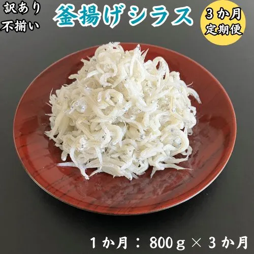 訳あり不揃い釜揚げシラス800g袋入り×1ヶ　3か月連続発送