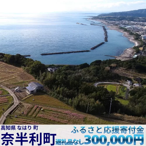 999999-6【応援寄附金】高知県奈半利町 1口 30万円 返礼品なしのご寄附 【奈半利町役場】