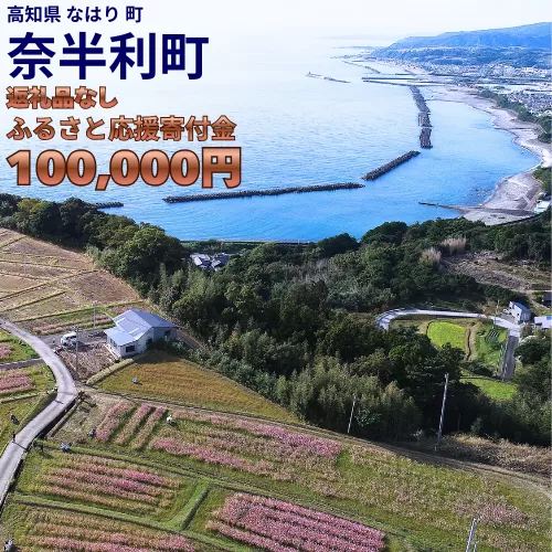 999999-4【応援寄附金】高知県奈半利町 1口 10万円 返礼品なしのご寄附　【奈半利町役場】