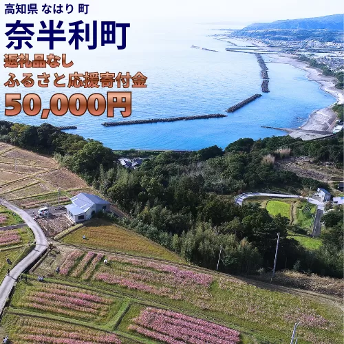 999999-3【応援寄附金】高知県奈半利町 1口 5万円 返礼品なしのご寄附　【奈半利町役場】