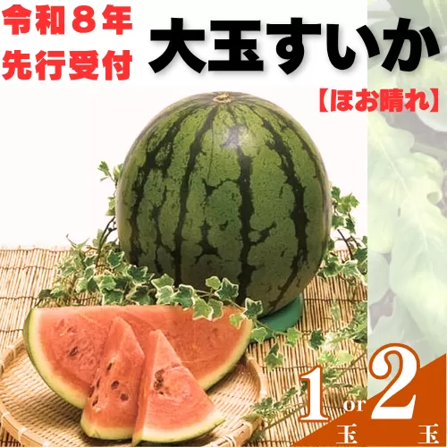 103001 山中農園のスイカ １玉【先行受付】 種が少ない 選べる １玉 ２玉  フルーツ 産地直送 完熟 糖度 リピーター率高い 甘い 大玉 西瓜 すいか/高知県 奈半利町