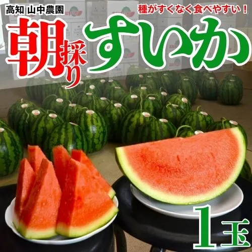 103001 山中農園のスイカ １玉 種が少ない 選べる １玉 ２玉  フルーツ 産地直送 完熟 糖度 リピーター率高い 甘い 大玉 西瓜 すいか/高知県 奈半利町