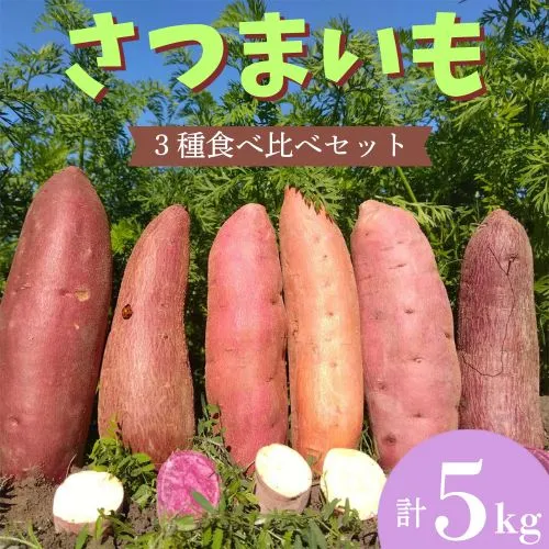 106005 さつまいも食べ比べセット5kg さつまいも サツマイモ 冬限定 焼き芋 スイートポテト 安納芋 土佐紅 シルク スイート 紅はるか ふくむらさき 季節限定 産地直送 昭作畑/高知県 奈半利町