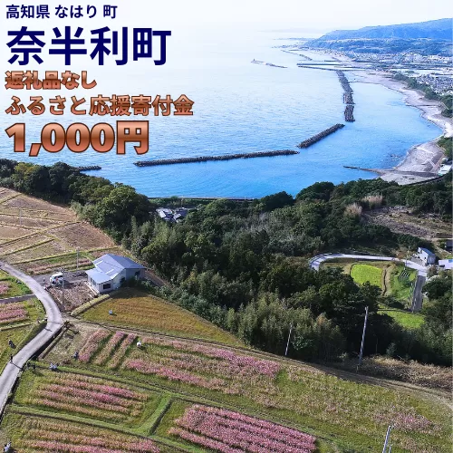 999999-1【応援寄附金】高知県奈半利町 1口 1000円 返礼品なしのご寄附　【奈半利町役場】