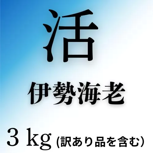133005　活　伊勢海老(3kg)訳あり品を含む