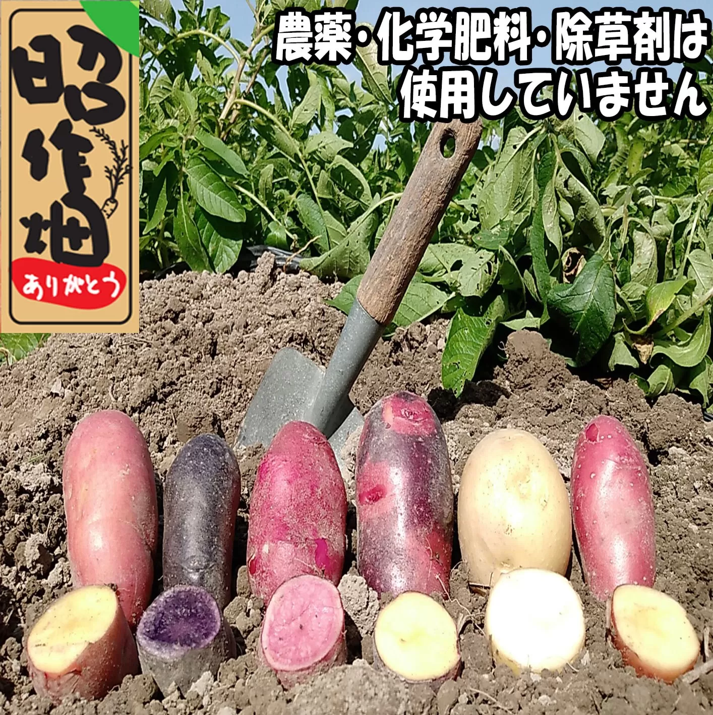106001 じゃがいも食べ比べセット5kg (3〜5種類) 新じゃが じゃがいも 新鮮 産地直送 季節限定 季 春野菜 5kg 食べ比べセット/高知県 奈半利町