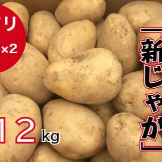 【四国一小さなまち】 ★先行受付：2023年5月発送開始★　大野台地で採れた 令和５年産『 新じゃが 』 １２ｋｇ　訳アリ品 