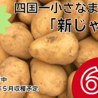 【四国一小さなまち】 ★先行受付：2023年5月発送開始★　大野台地で採れた 令和５年産『 新じゃが 』 ６ｋｇ　訳アリ品 