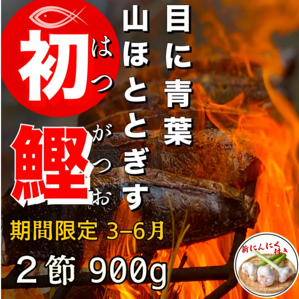 【四国一小さなまち】  ★数量限定★ 令和６年３月中旬発送開始 ≪ヤマシン≫ 初鰹のわら焼きタタキ ２節　※新にんにく１玉付き※