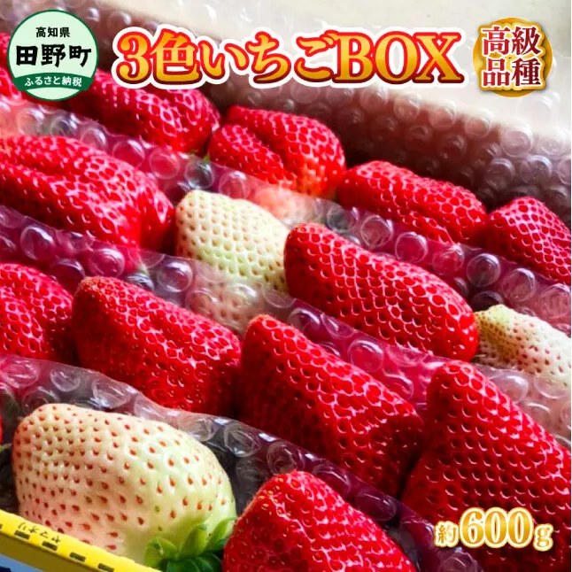 ≪農園直送≫ 高級品種3色いちごBOX 計600g程度 いちご イチゴ 苺 果物 フルーツ 詰め合わせ 高級 品種 海惚れいちご 天使のイチゴ 真紅の美鈴 常温 冷蔵 配送