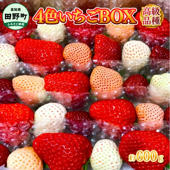 ≪農園直送≫ 高級品種4色いちご ボックス 計600g程度 いちご イチゴ 苺 果物 フルーツ 詰め合わせ 高級 品種 海惚れいちご 天使のイチゴ ローズパール 真紅の美鈴 常温 冷蔵 配送