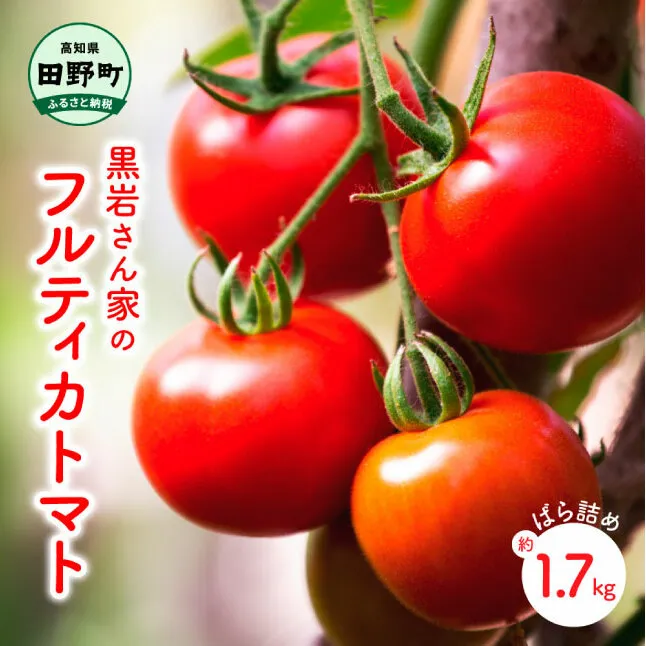 黒岩さん家のフルティカトマト（ばら詰め）約1.7kg 不揃い フルティカ トマト ミディトマト とまと 詰め合わせ 新鮮野菜 トマト 美味しい 野菜 厳選 新鮮 甘い 夏野菜 サラダ ギフト