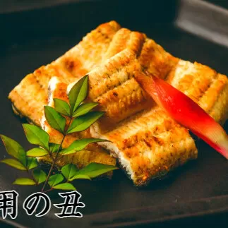 【土用丑の日（一の丑）：2024】予約受付中≪7月24日までにお届け≫ 田野町産うなぎの白焼き 2尾（冷凍）　ウナギ 鰻 しらやき 国産 無頭 冷凍