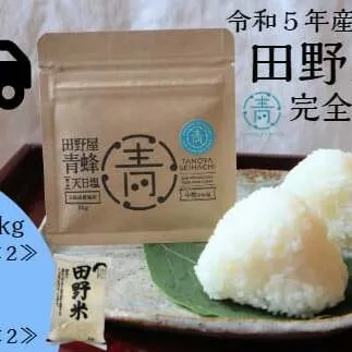 ≪先行受付中：定期便3ヵ月（10月～12月）≫  ★ 令和5年産 新米 ★【四国一小さなまち】 田野米 10kg ＋ 田野屋青蜂 完全天日塩 40g ～ 精米 ・ 白米 ～ 