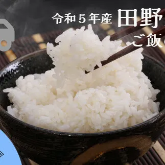 ≪先行受付中：定期便3ヵ月（12月～2月）≫  ★ 令和5年産 新米 ★【四国一小さなまち】 田野米 10kg ＋ ご飯のお供 ～ 精米 ・ 白米 ～ 