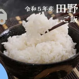 ≪先行受付中：定期便3ヵ月（11月～1月）≫  ★ 令和5年産 新米 ★【四国一小さなまち】 田野米 5kg ＋ ご飯のお供 ～ 精米 ・ 白米 ～ 