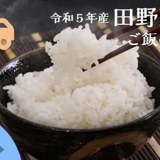 ≪先行受付中：定期便6ヵ月（10月～3月）≫  ★ 令和5年産 新米 ★【四国一小さなまち】 田野米 10kg （5kg×2袋）＋ ご飯のお供 ～ 精米 ・ 白米 ～ 
