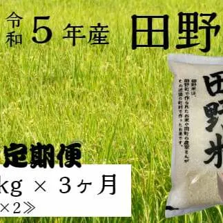 ≪先行受付中：定期便3ヵ月（10月～12月）≫  ★ 令和5年産 新米 ★【四国一小さなまち】 田野米 10kg （5kg×2袋）× 3回 ～ 精米 ・ 白米 ～ 