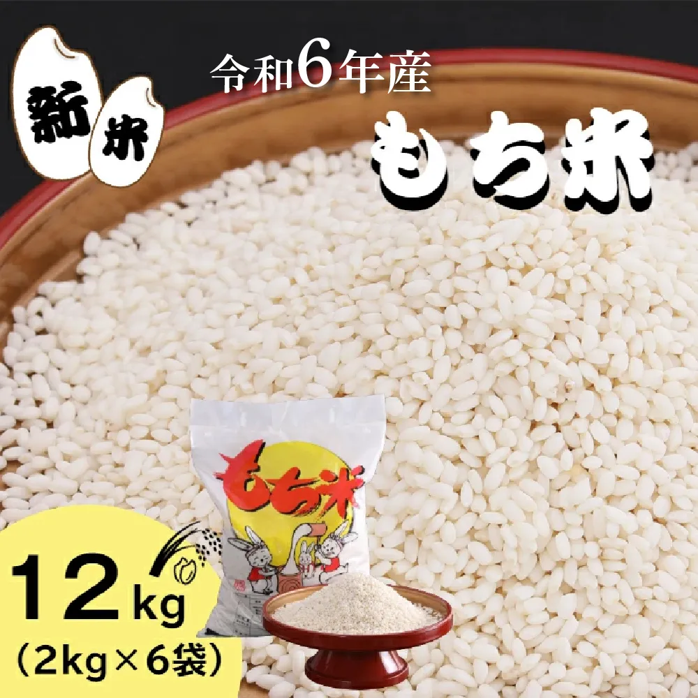【四国一小さなまち】★精米 新米 もち米 12kg★令和6年産 もち米 12kg（2kg×6袋）　米 お米 精米 こめ コメ モチ もち もち米 赤飯 餅 餅米 新米 おはぎ おもち おこわ 限定 グルメ お取り寄せ 高知県 田野町 国産 故郷納税