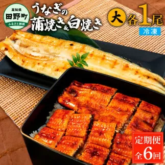 田野町産うなぎの蒲焼き(大)+うなぎの白焼き(大) 各1尾×6回 定期便 6ヶ月 定期コース 1尾あたり120～150g タレ付き 山椒付き うなぎ 鰻 ウナギ 蒲焼き かば焼き 白焼 国産 冷凍 配送
