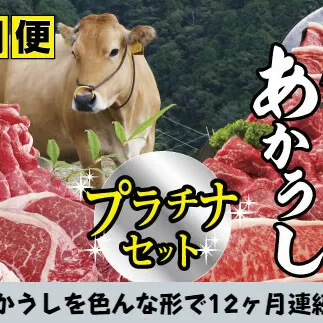 【四国一小さなまち】～2024年1月発送開始～『土佐あかうし』食べつくし！プラチナセット【A】★12ヶ月定期便★
