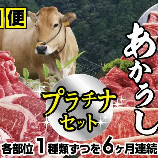 【四国一小さなまち】～2024年1月発送開始～『土佐あかうし』食べつくし！プラチナセット【B】★6ヶ月定期便★