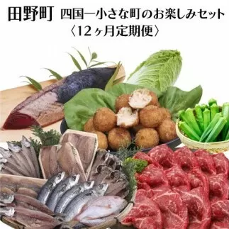 【四国一小さなまち】≪2025年1月発送開始≫★定期便 12ヶ月★～田野町お楽しみセット12回コース『B』～