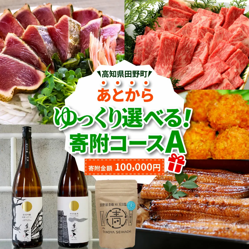 返礼品は後からゆっくり選べる寄附コース★A★ あとから選べる おすすめ 人気 カツオ カツオのたたき うなぎ 鰻 肉 酒 塩 魚 魚介 カタログ 100000円