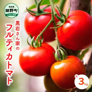 黒岩さん家のフルティカトマト 約3kg フルティカ トマト ミディトマト とまと 詰め合わせ 新鮮野菜 トマト 美味しい 野菜 厳選 新鮮 甘い 夏野菜 サラダ ギフト 贈答用 贈り物