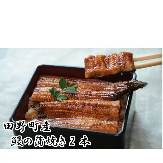 田野町産うなぎの蒲焼き（大）2本 タレ付き 山椒付き うなぎ 鰻 ウナギ 蒲焼き かば焼き 無頭 おいしい 国産 お取り寄せ 冷凍 配送