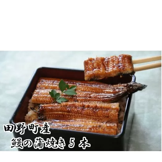 田野町産うなぎの蒲焼き（大）5本　タレ付き 山椒付き うなぎ 鰻 ウナギ 蒲焼き かば焼き 無頭 おいしい 国産 お取り寄せ 冷凍 配送