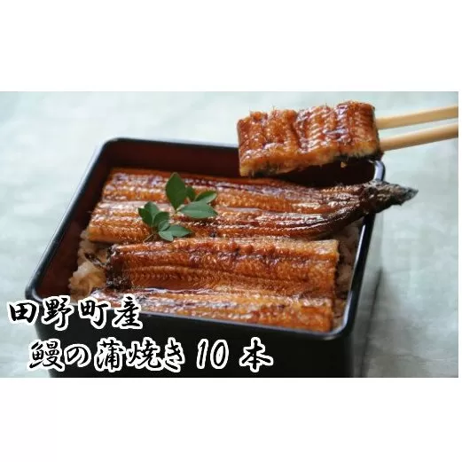 田野町産うなぎの蒲焼き(大）10本 タレ付き 山椒付き うなぎ 鰻 ウナギ 蒲焼き かば焼き 無頭 おいしい 国産 お取り寄せ 冷凍 配送