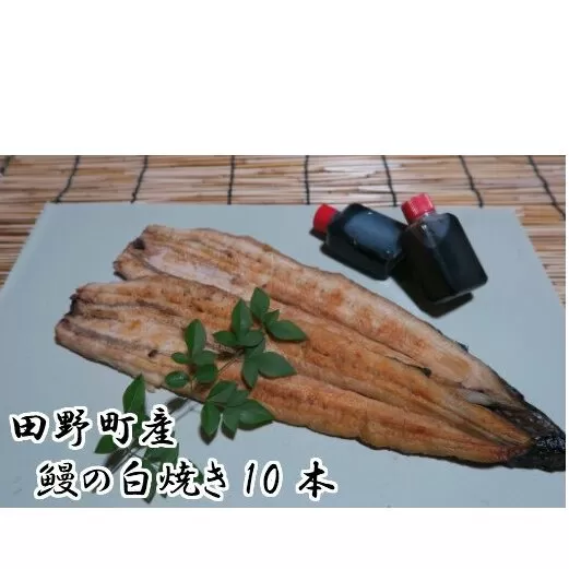 田野町産うなぎの白焼き(大）10本　タレ付き 山椒付き うなぎ 鰻 ウナギ 白焼 無頭 おいしい 国産 個包装 お取り寄せ 冷凍 配送