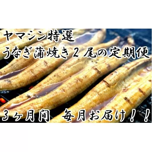 ヤマシン特選うなぎ蒲焼き2本定期便　計3回お届け