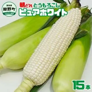 【四国一小さなまちのとうもろこし】【先行予約】★2024年6月中旬発送開始予定★ とうもろこし ピュアホワイト 15本 数量限定 朝どれ 新鮮 甘い 野菜 産地直送 冷蔵 配送
