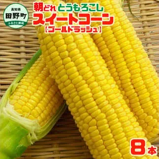 【四国一小さなまちのとうもろこし】★2025年6月上旬頃より発送開始予定★ とうもろこし スイートコーン ゴールドラッシュ 8本 数量限定 朝どれ 新鮮 甘い 野菜 産地直送 冷蔵 配送