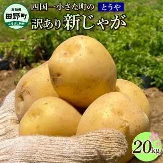 ★先行受付：2024年5月発送開始★大野台地で採れた 令和6年産新じゃがいも『とうや』20kg 訳あり品 20キロ イモ ジャガイモ 芋 いも ポテト 野菜 おいしい なめらか 旬 国産 お取り寄せ 送料無料