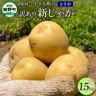 ★先行受付：2024年5月発送開始★大野台地で採れた 令和6年産新じゃがいも『とうや』15kg 訳あり品 15キロ イモ ジャガイモ 芋 いも ポテト 野菜 おいしい なめらか 旬 国産 お取り寄せ 送料無料