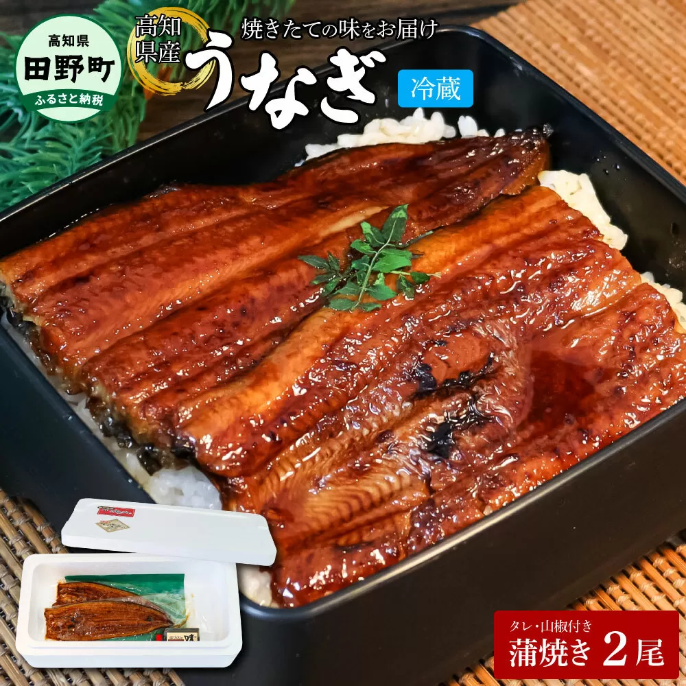 ～四国一小さなまち～ ヤマシン特選うなぎの蒲焼き2尾（特製タレ付き） 130g×2尾 うなぎ 鰻 ウナギ 国産 高知県産 2尾 蒲焼 かばやき 特製タレ 冷蔵 配送