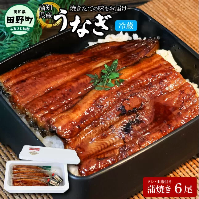 ～四国一小さなまち～ ヤマシン特選うなぎの蒲焼き６尾（特製タレ付き） 130g×6尾 うなぎ 鰻 ウナギ 国産 高知県産 6尾 蒲焼 かばやき 特製タレ 冷蔵 配送