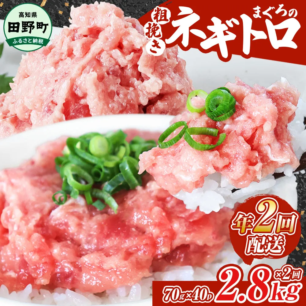 ～四国一小さなまち～ ≪カネアリ水産≫ まぐろのネギトロ 2,800g（70g×40パック）×年2回配送 ねぎとろ 鮪 マグロ キハダマグロ まぐろたたき 粗挽き 小分け パック 海鮮 魚介 便利
