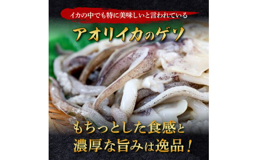 イカの王様☆アオリイカのゲソ 2kg 2ヶ月定期便 2キロ イカゲソ