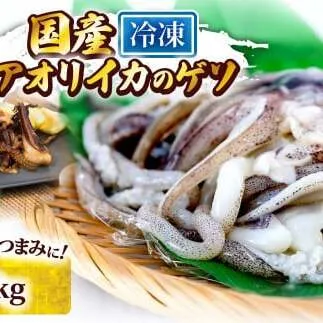 イカの王様★アオリイカのゲソ 2kg アオリイカ ゲソ 500g×4パック 2000g 2キロ イカ いか 烏賊 魚介類 げそ いかげそ 焼き 唐揚げ おつまみ 美味しい 柔らかい