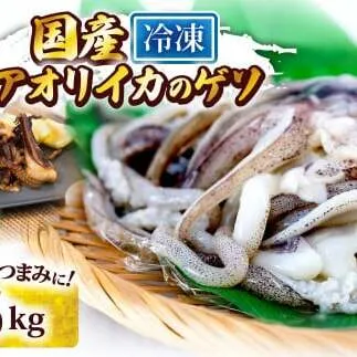 イカの王様★アオリイカのゲソ 1.5kg アオリイカ ゲソ 500g×3パック 1500g 1.5キロ イカ いか 烏賊 魚介類 げそ いかげそ 焼き 唐揚げ おつまみ 美味しい 柔らかい