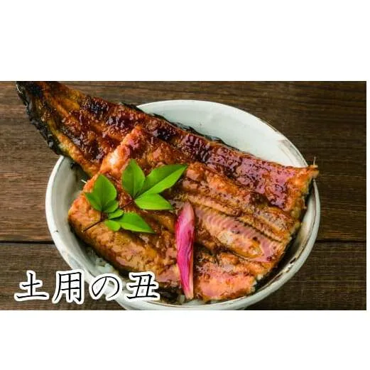 【土用丑の日（一の丑）：2025】予約受付中≪7月19日までにお届け≫田野町産うなぎの蒲焼き 2尾（冷凍）　ウナギ 鰻 かば焼き 国産 冷凍 無頭