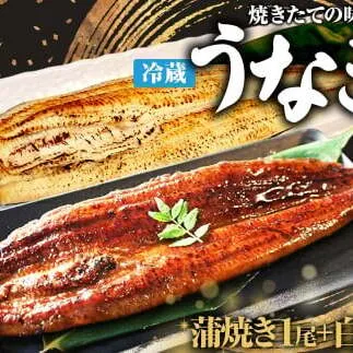 【四国一小さなまち】★ ヤマシン特選★うなぎの蒲焼き１尾＋白焼き１尾入り（特製タレ付き） うなぎ 鰻 ウナギ 国産 高知県産 2尾 蒲焼 かばやき 白焼き 特製タレ 冷蔵 配送 真空パック