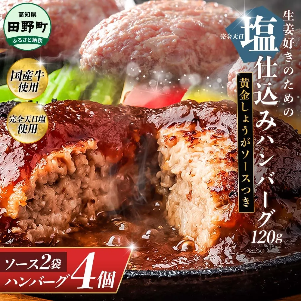 塩仕込みハンバーグ 4個入り 黄金しょうがソース付 2袋 美鮮豚 びせんとん 生姜 田野屋青蜂 白鯆 完全天日塩 肉 お肉 国産牛 四万十ポーク おかず 惣菜 ジューシー おいしい 洋食 お取り寄せ 冷凍 配送 高知県 田野町