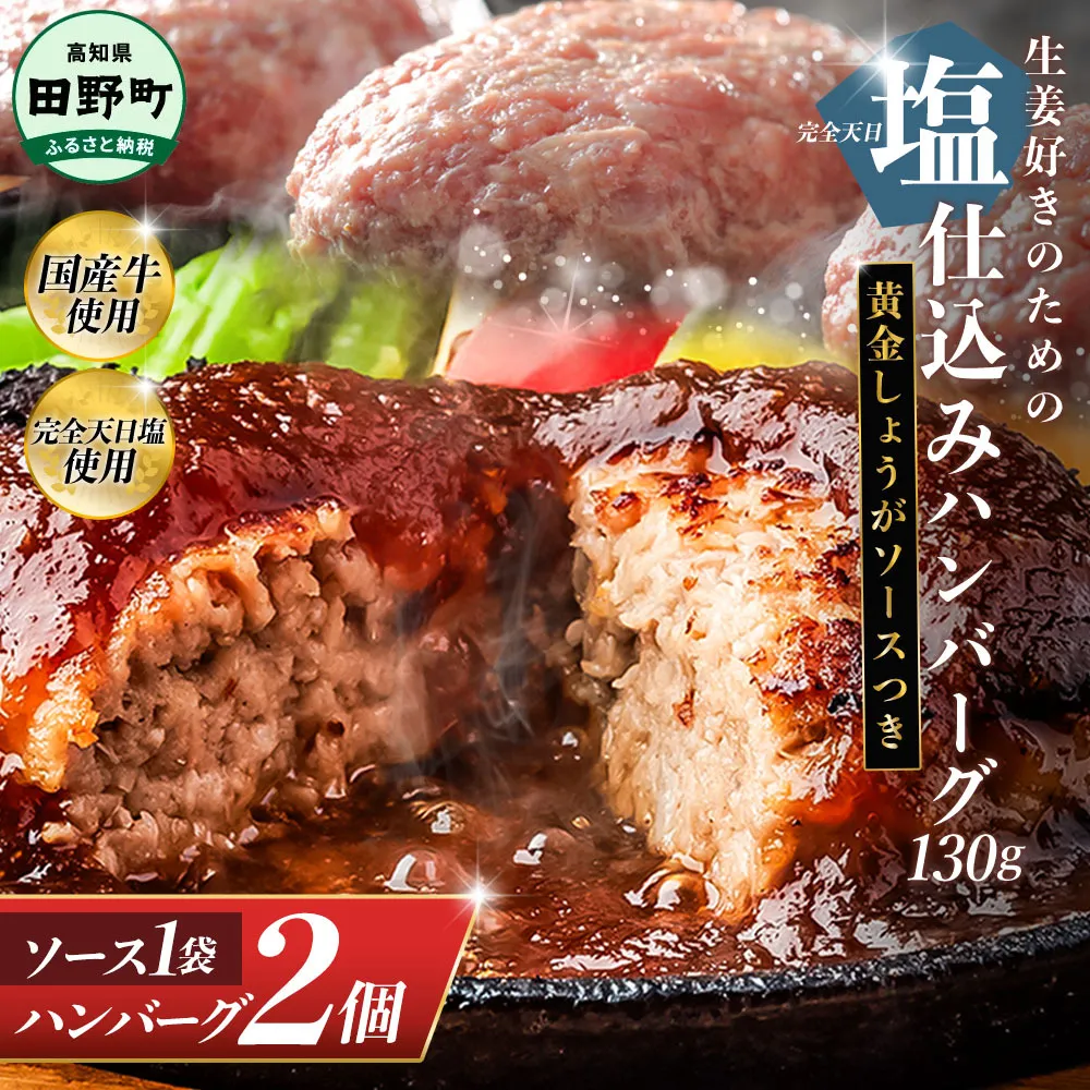 塩仕込みハンバーグ 2個入り 黄金しょうがソース付 1袋 美鮮豚 びせんとん 生姜 田野屋青蜂 白鯆 完全天日塩 肉 お肉 国産牛 四万十ポーク おかず 惣菜 ジューシー おいしい 洋食 お取り寄せ 冷凍 配送 高知県 田野町